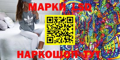 наркотики Сланцы