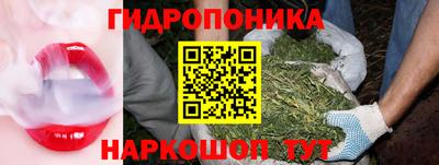 стафф Славгород