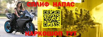 наркотики Сланцы