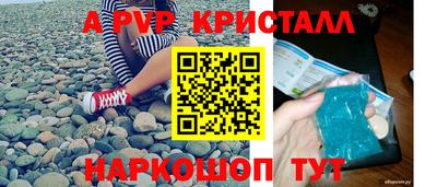 стафф Славгород