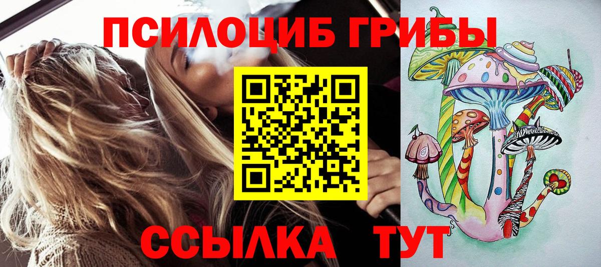 Омск  Галлюциногенные грибы Magic Shrooms  купить   Вход с VPN 