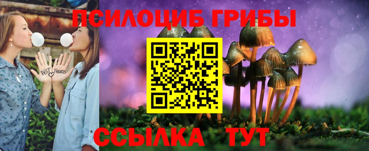 Псилоцибиновые грибы ЛСД Омск